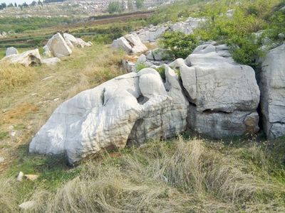 长寿石假山_[园林工程]假山工程量大从优