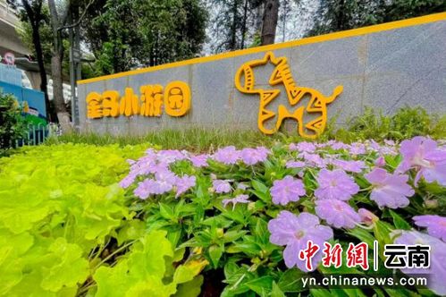 昆明新建106个小游园国庆亮相