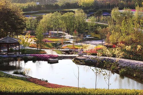 聚焦 中国花卉旅游的生存之道