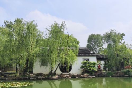 苏州这个小园林,藏在大学里面,独具江南气息曾多次修建