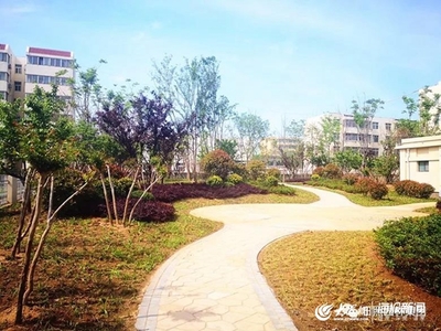 “推窗现景、开门见绿”日照园林集团实施拆迁建绿、拆墙透绿、破硬造绿等工程!