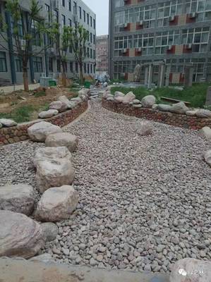 预算实训 | 关于园林预算你想知道的都在这里~
