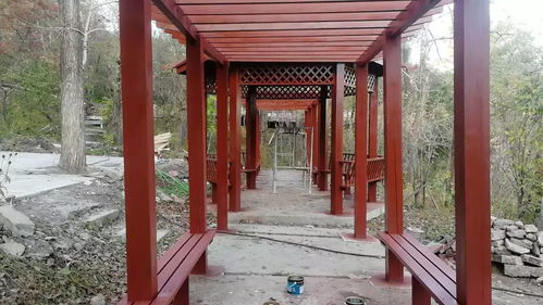 好消息 北山公园全面提升改造成为新的城市精品花园 大家期待不