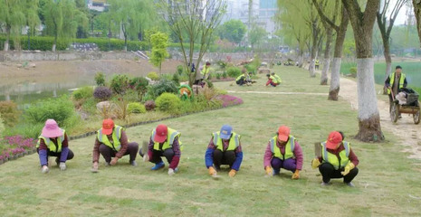 精彩军运 | 《精致江汉建设管理规范指引》 助推城区品质再提升