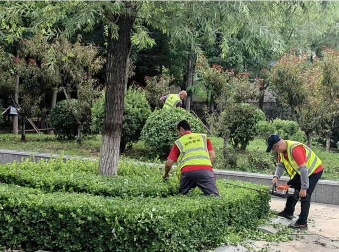 烟台市园林建设养护中心:加强夏季养护 巩固景观效果