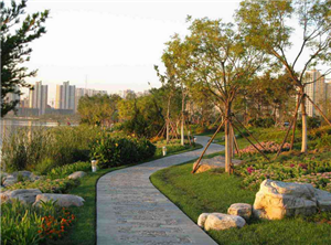 河南永明市政园林建设