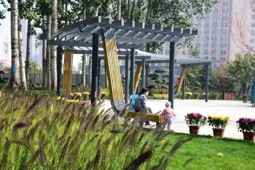 舍了房产建公园,平度这些地方又要大变样