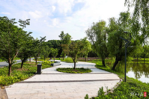 绥德公园改造工程启动建设,上海年底将建成7座环城公园