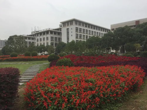 园林景观规划建设中的主题及文化解读