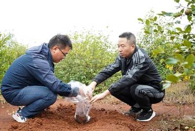 安徽巢湖:严把“源头”关,守护“舌尖上的安全”