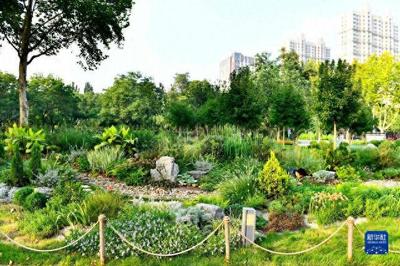 山东德州:低碳循环助力生态园林城市建设