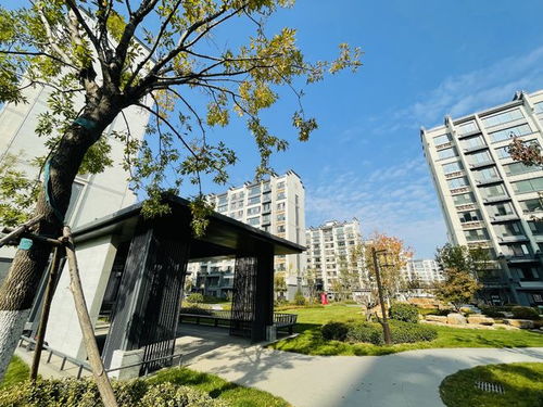 济南四建空港花园怎么样 售楼处 总价80万起轻松入住现房洋房
