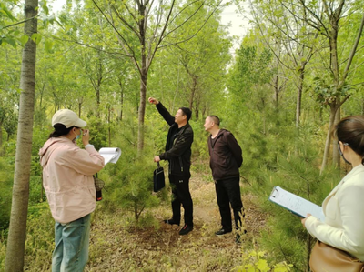淇县自然资源局行政执法规范化建设活动成效简报(八)--对淇县园林绿化公司开展“双随机、一公开”抽查行
