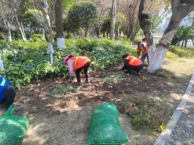 县住房和城乡建设局园林绿化管理所开展春节补植补种