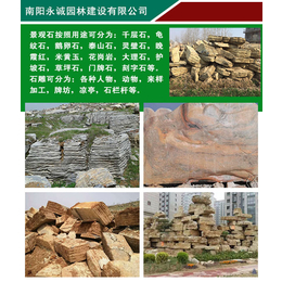 永城价格合理质量上乘-龟纹石园林假山石-龟纹石园林假山石公司