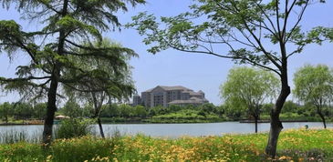 园林让城市更美好,盘点沭阳园林建设成果