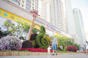 节约型园林建设在昆明处处可见 花坛 乾坤大挪移 一举多得