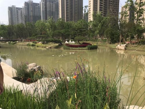 扬州为公园配 管家 ,全民参与创新公园建设管理体系