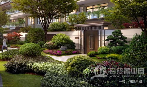 启幕五莲人居新章 锦华和园产品发布盛典 璀璨绽放