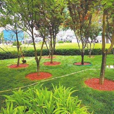 衡水市园林中心:下足“绣花功夫”扮靓城市容颜