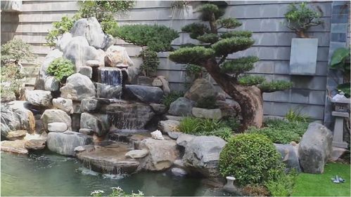 院子里有块空地,自己建的假山鱼池,园林化 高山流水 意境美