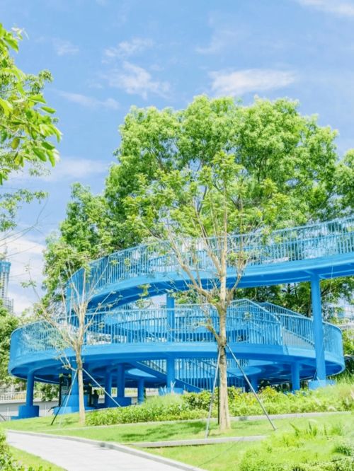 文科园林助力花城建设,共建复合型 生活型 生态型公园