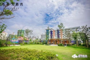 庆五一 迎五四,市政园林建设局携手粤泰 天鹅湾组织开展健步行活动