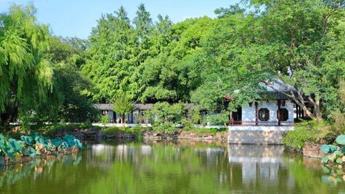 太仓生态园林城市建设中 一大波养眼靓照袭来