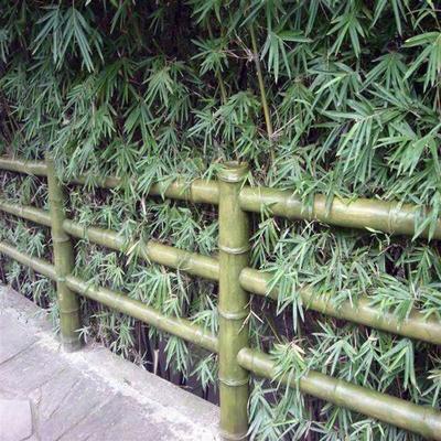 竹子围栏 仿竹栏杆 公园景区竹篱笆 仿竹护栏