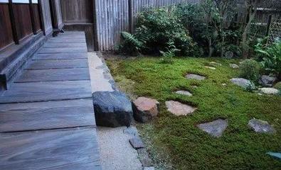 园林建设和健康
