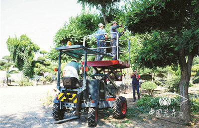 景观更美成本更低 园林机械在现代绿化养护中的高效应用