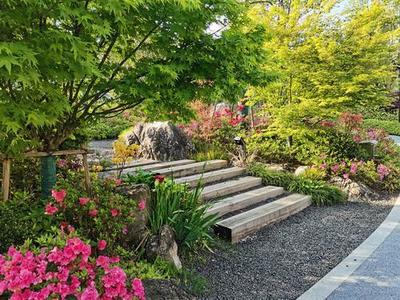 市建设局赴丽水市考察 深化城市园林绿化建设经验交流