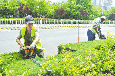 夏季园林植物修剪与园林建设