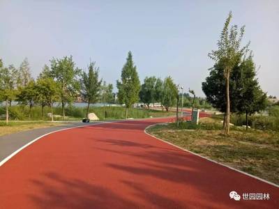 西安世博园鸟岛至椰风水岸桥梁工程 园林建设中的艺术与交融