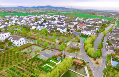 海宁袁花凝心聚力创建省级园林城镇，为美镇建设按下“加速键”