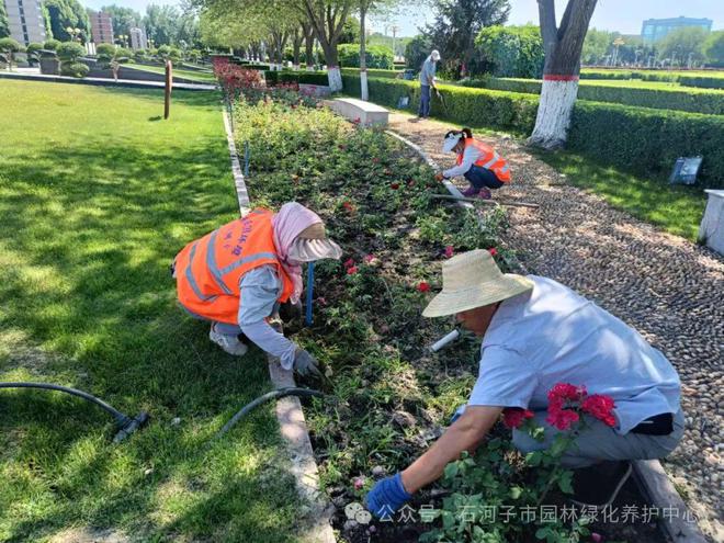 园林人端午节坚守岗位，守护绿色家园