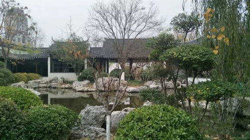 天津这些古色古香的公园,你去过几个