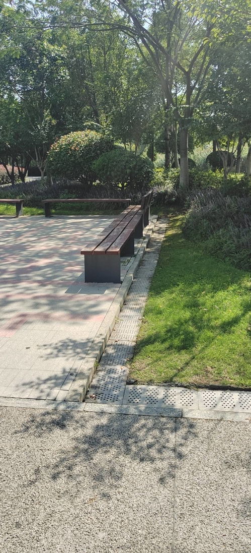 海绵技术与城市园林绿化有机耦合 推动城市建设高质量